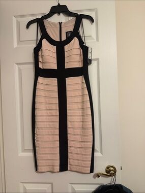 Jax Blush Pink and Black Paneled Dress